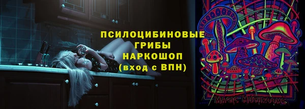 ALPHA-PVP Богородицк