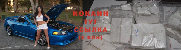 дмт Богородск