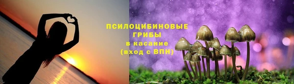 ALPHA-PVP Богородицк