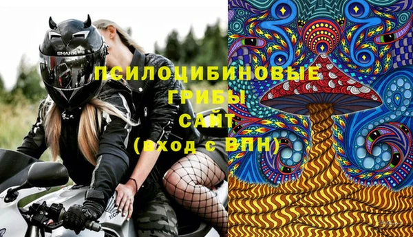 apvp Богданович